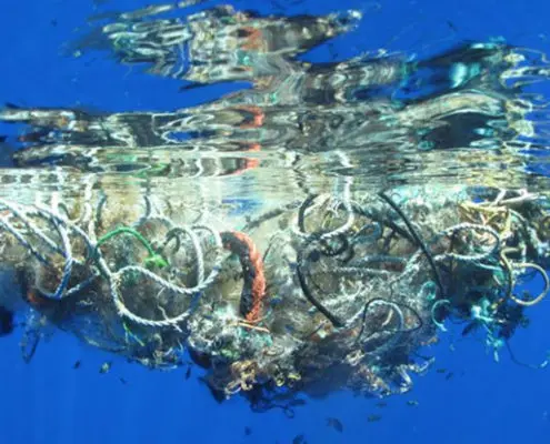 De Plastic Oceaan - 5 feiten