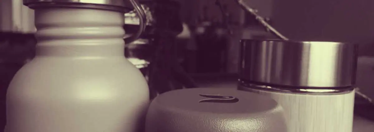 Retulp thermosflessen