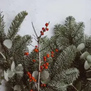 Duurzaam kerstgeschenk