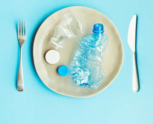 plastic in voedsel
