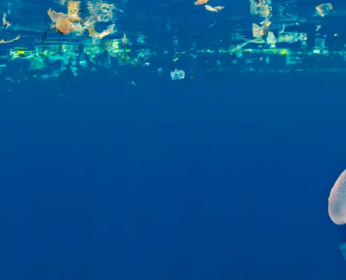 Wereld Natuur Fonds - Oceaan met plastic soep