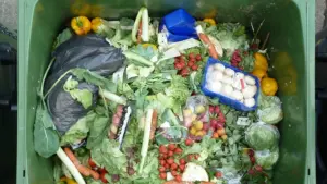 groen afval recycling