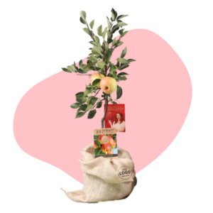 Appelboom Elstar met logo