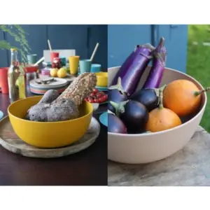 zuperzocial pla bio plastic bakjes