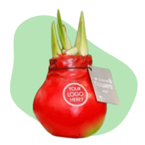 amaryllisbollen met logo