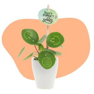 Pannenkoekplant met logo