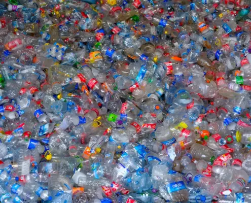 Photo BPA in plastic bottles