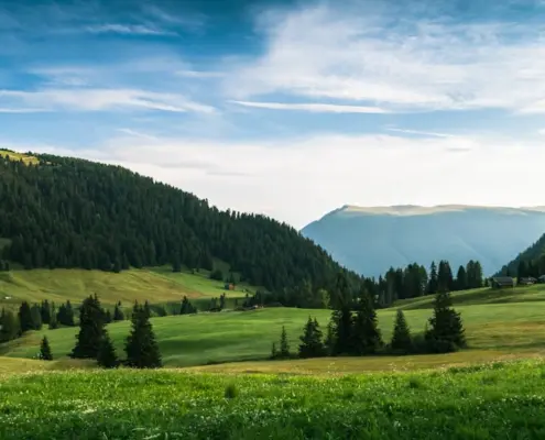 Photo duurzame koeltas