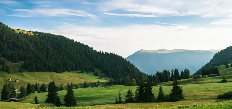 Photo duurzame koeltas