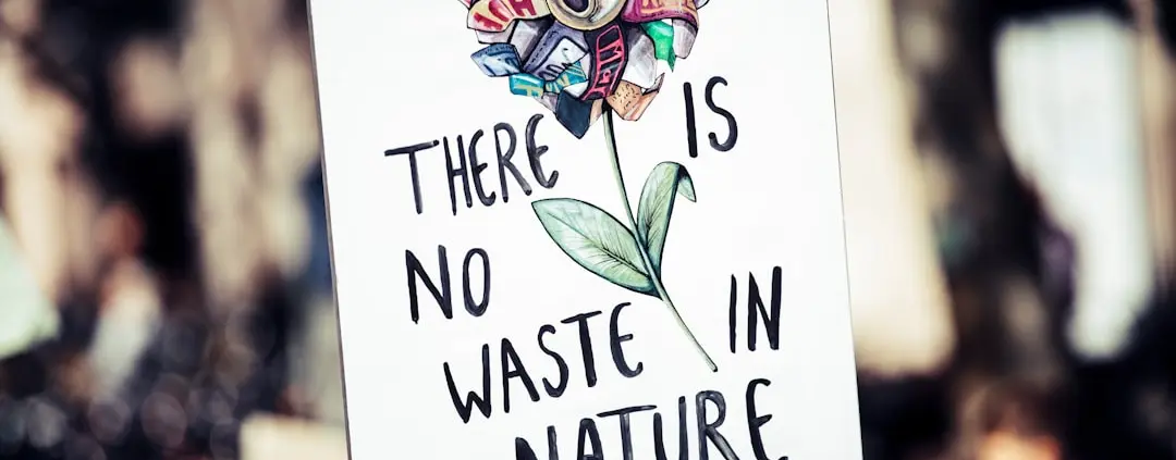 Photo sustainable alternatives