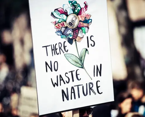 Photo sustainable alternatives