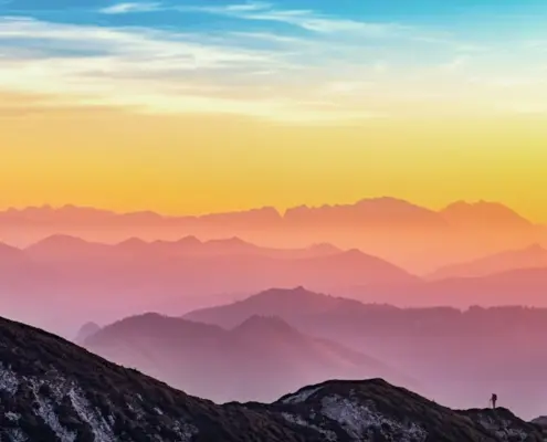 Photo Retulp bottles