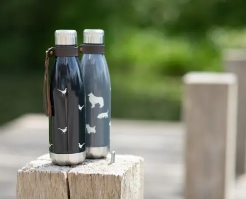 Photo gezonde waterfles