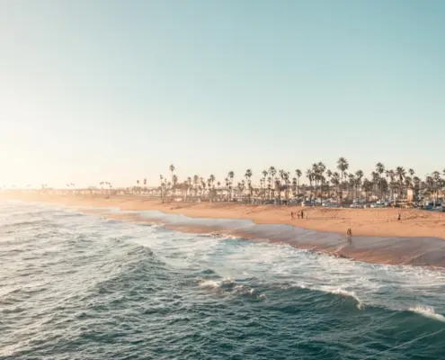 Photo BPA-free water bottle