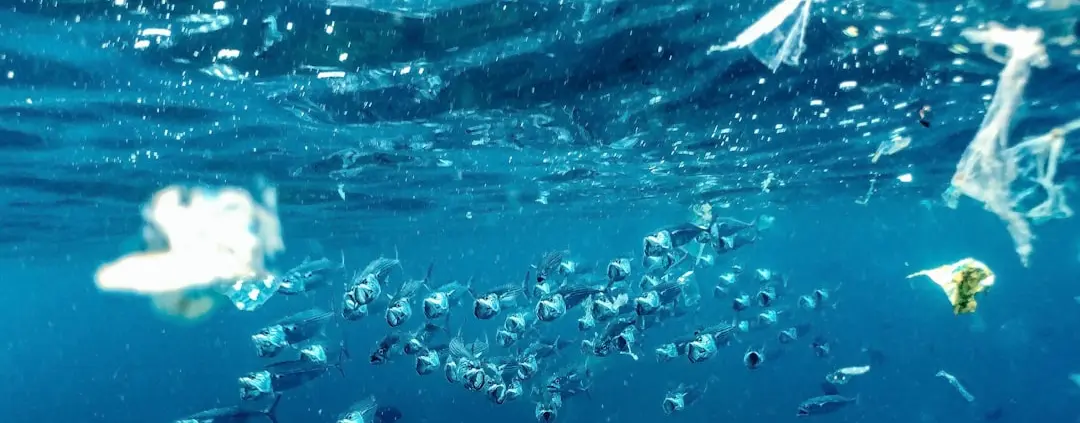 Photo microplastic