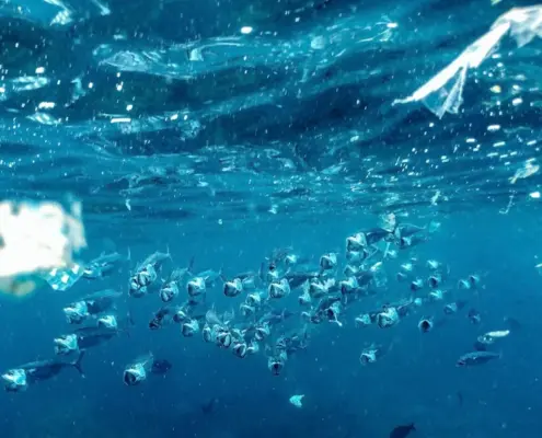 Photo microplastic