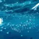 Photo microplastic