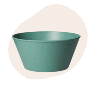 Eco bakje biobased