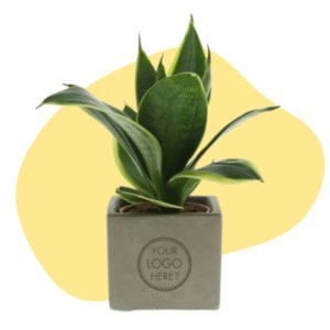 Plant met logo