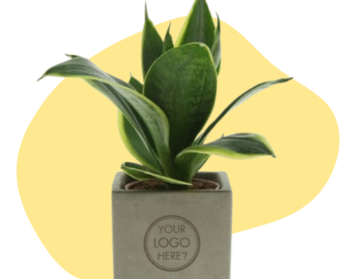 Plant met logo