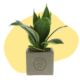 Plant met logo
