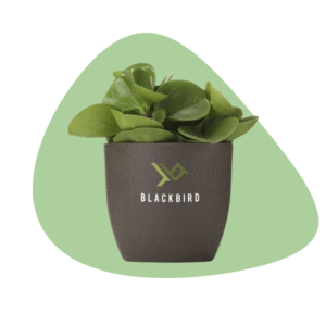 bloempot koffiedik biobased