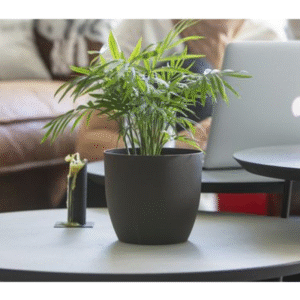 bloempot koffiedik biobased