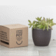bloempot koffiedik biobased