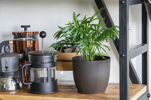 biobased koffiedik bloempotje