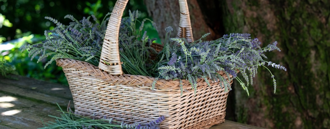 Photo Eco-friendly gift basket