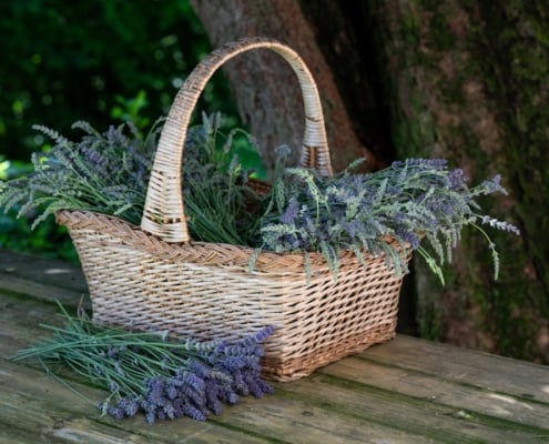 Photo Eco-friendly gift basket