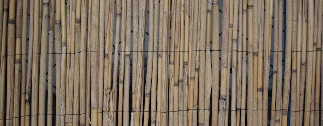 Photo Bamboo pen
