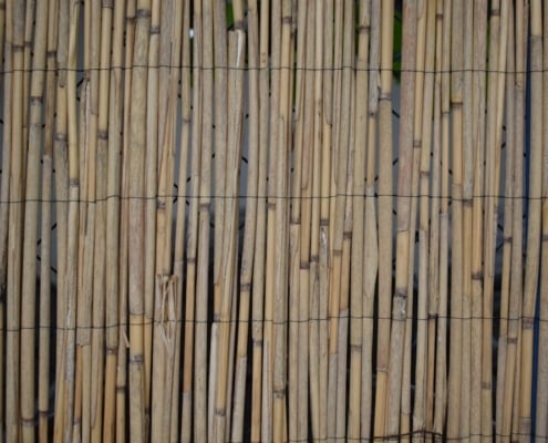 Photo Bamboo pen