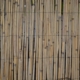Photo Bamboo pen