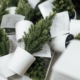 Photo Sustainable corporate gifts