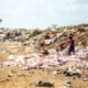 Photo plastic waste