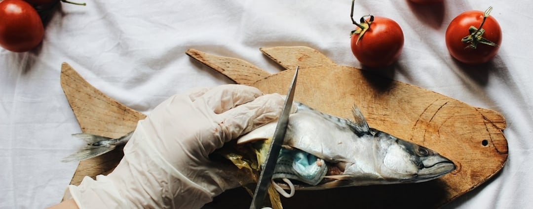 Photo plastic pollution