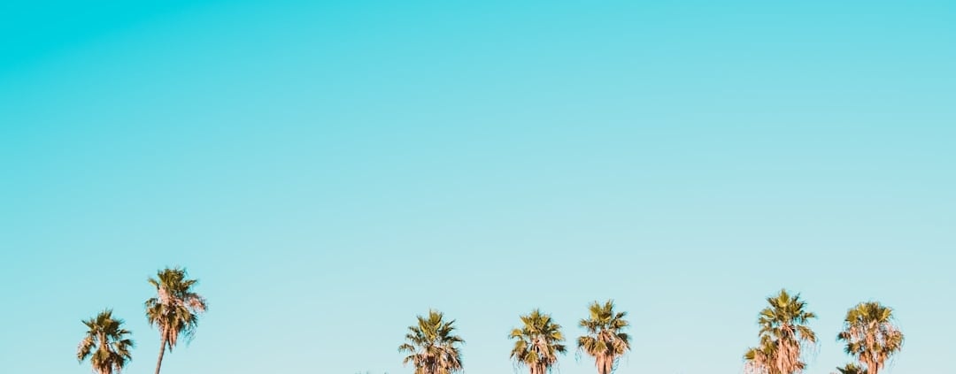 Photo December impact