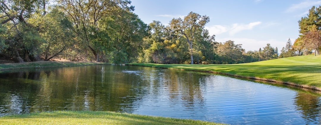 Photo plasticvrije pakjesavond