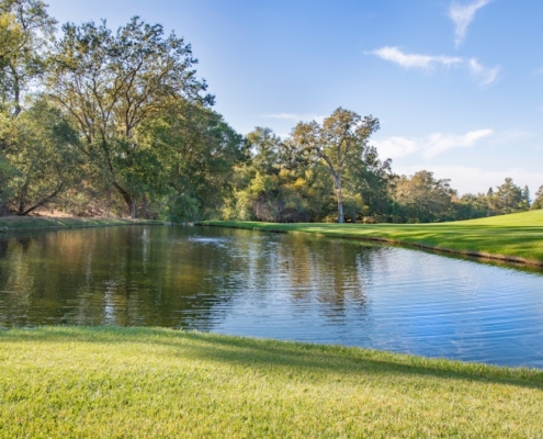 Photo plasticvrije pakjesavond