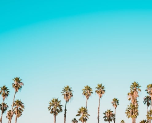 Photo December impact