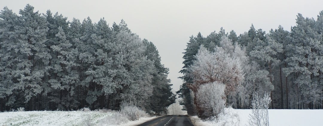 Photo Winterwandeling
