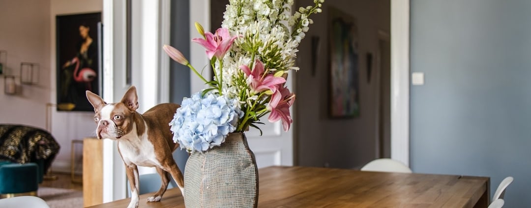 Photo Sustainable dining