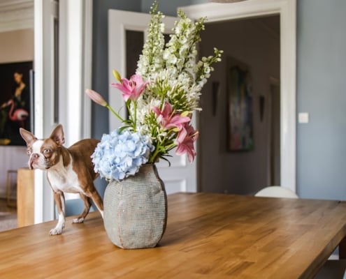 Photo Sustainable dining