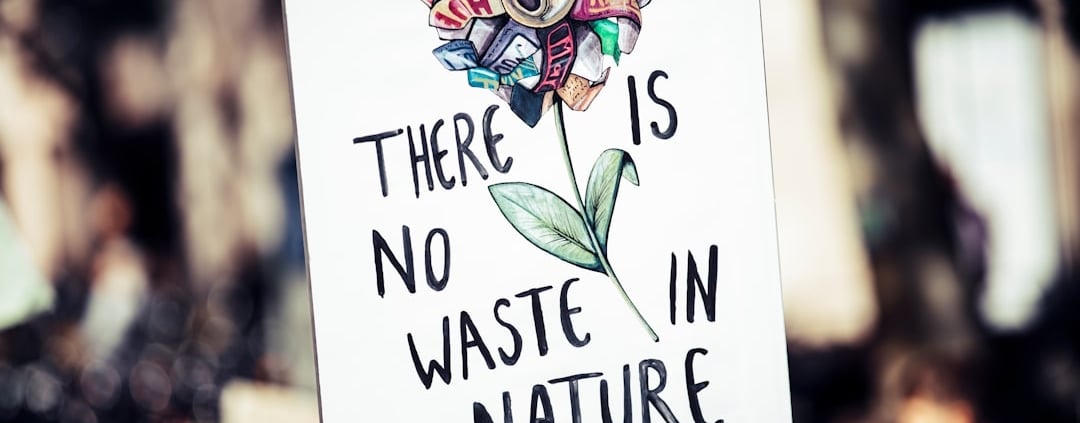 Photo sustainable alternatives