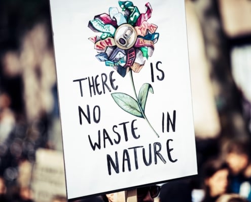 Photo sustainable alternatives